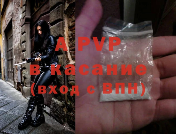 стафф Снежногорск
