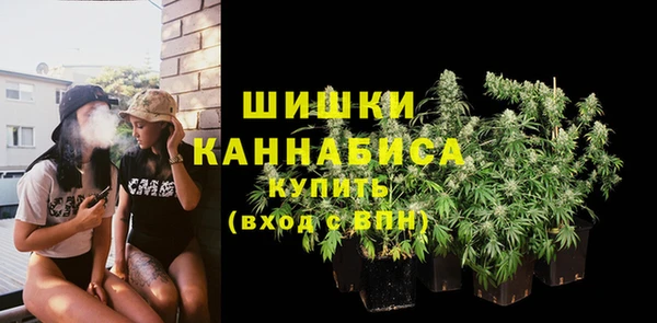 стафф Снежногорск