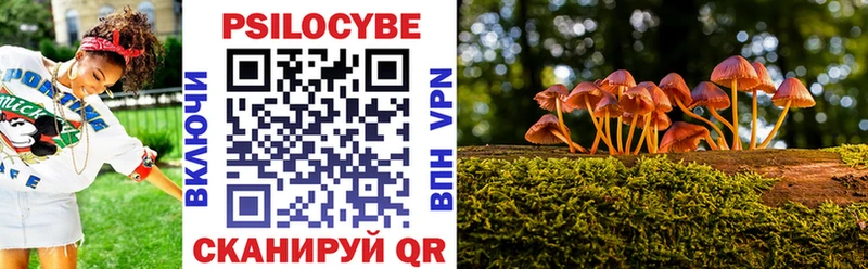 Псилоцибиновые грибы мухоморы  Шелехов 